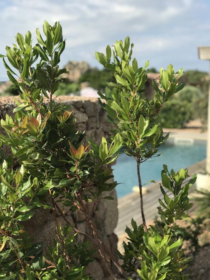 Hotel Les Chambres De Mila Bonifacio بونيفَسْيو المظهر الخارجي الصورة
